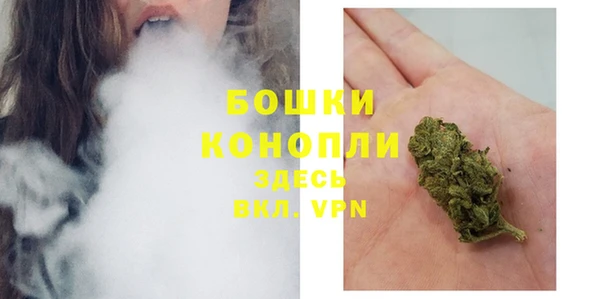 apvp Богданович