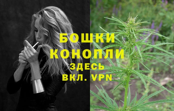эйфоретик Белокуриха