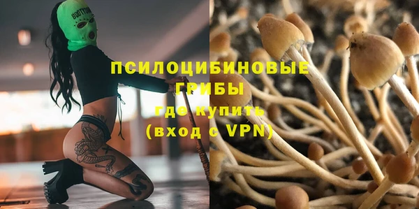 эйфоретик Белокуриха