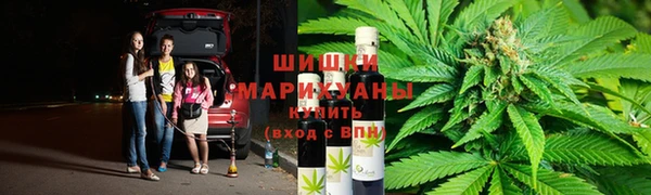 apvp Богданович