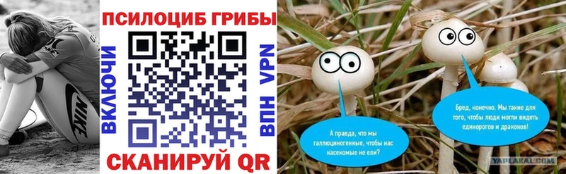 Псилоцибиновые грибы MAGIC MUSHROOMS  MEGA зеркало  Валуйки  купить закладку 